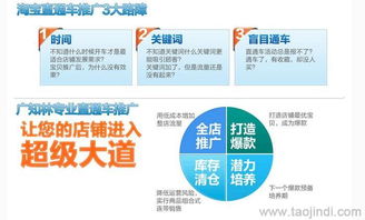 天貓店鋪推廣與運營全攻略 裝修、拍照、產品描述與軟件開發價格解析